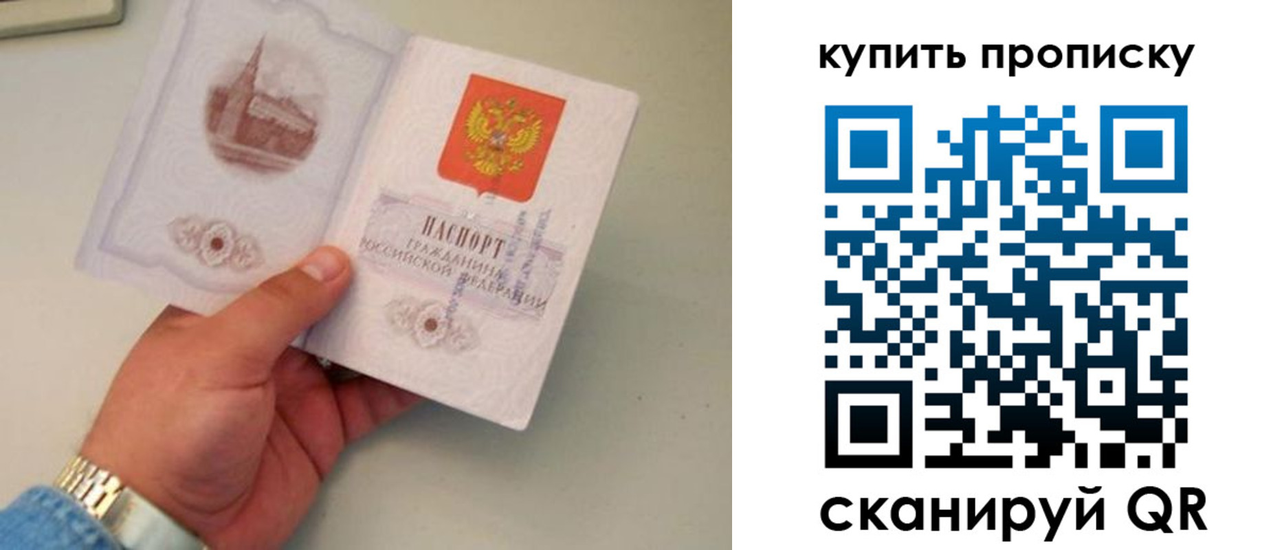 прописка для работы в Бабаево